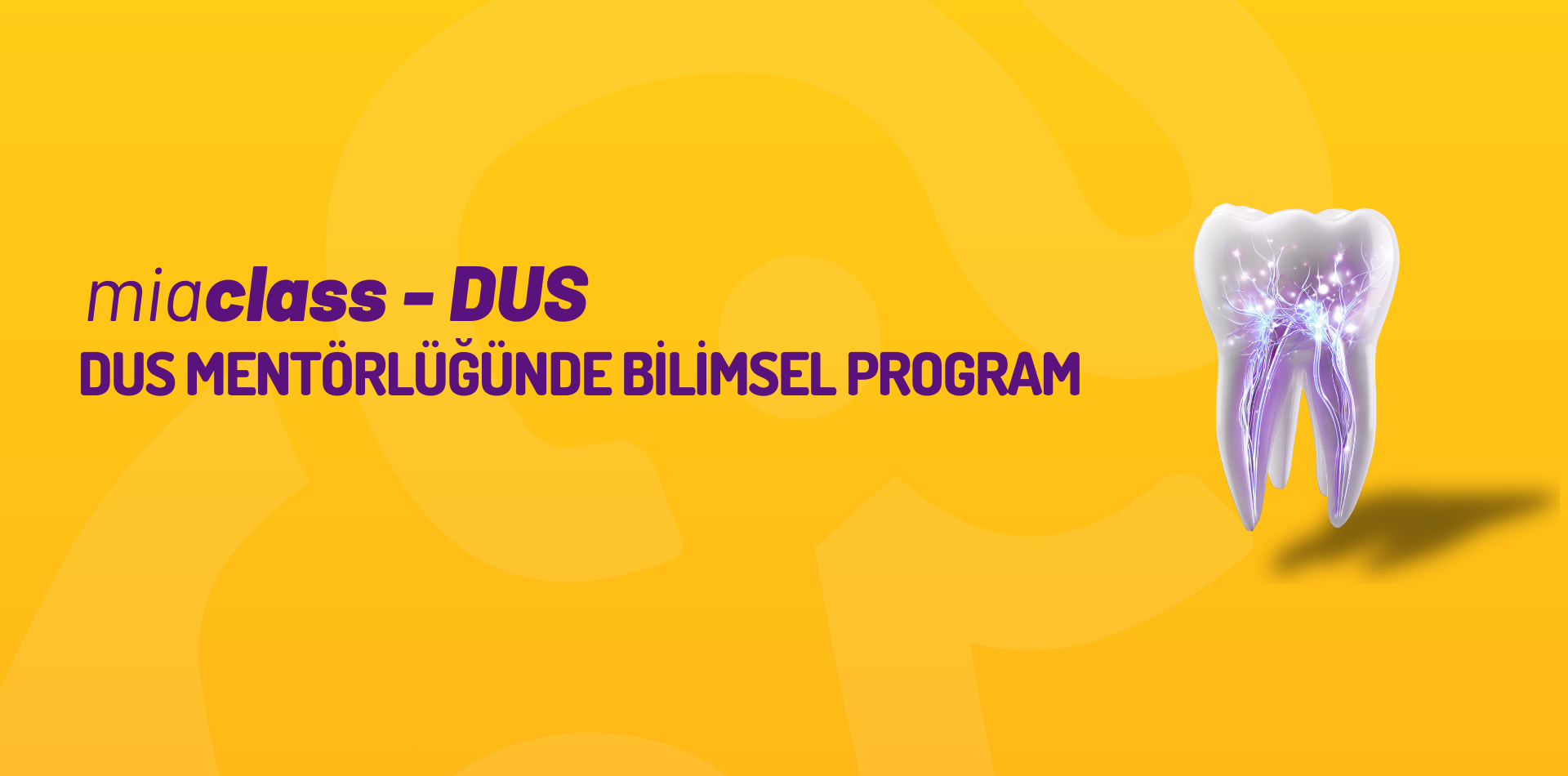 Mia Class Dus (2026 1. Dönem)