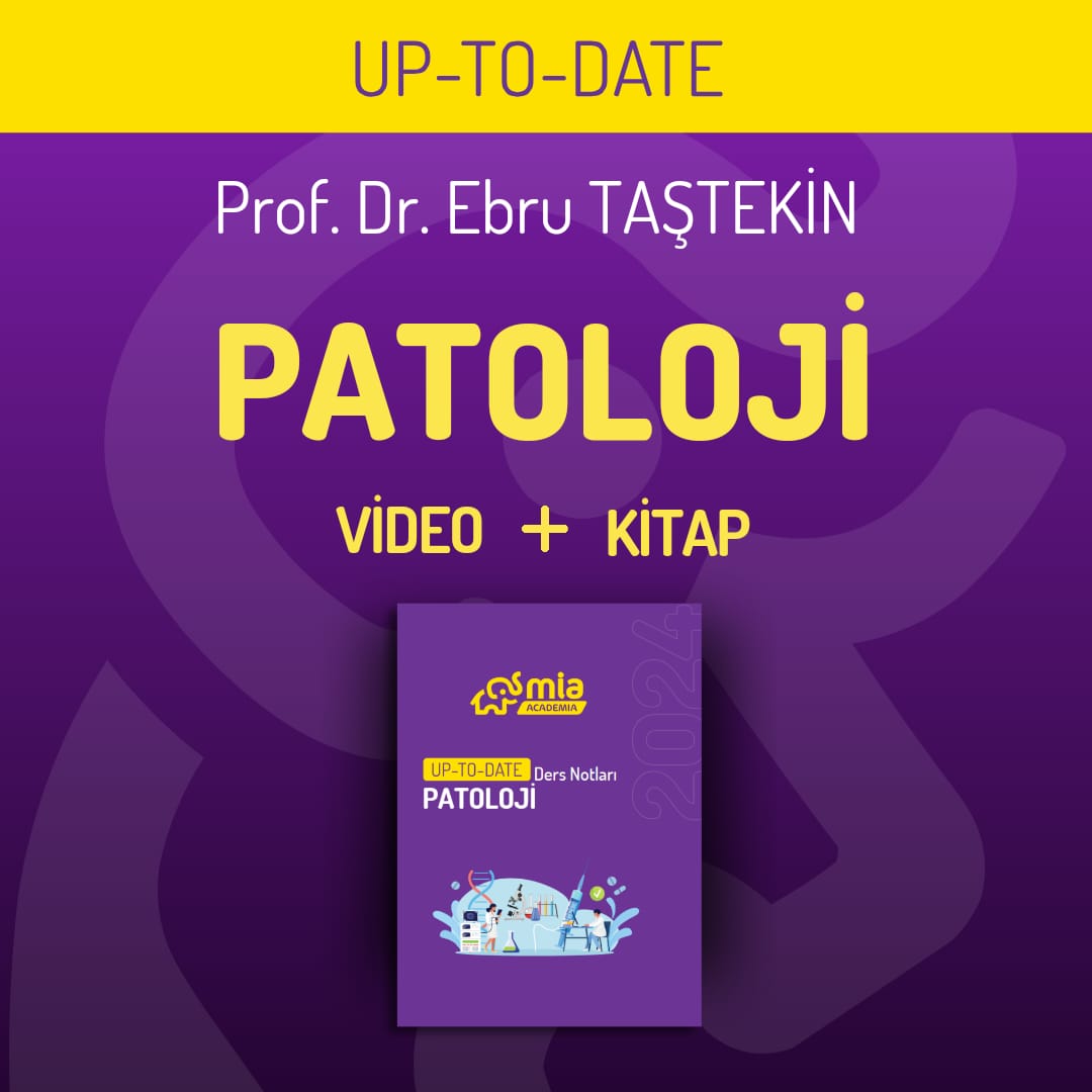 Up-To-Date Patoloji Eğitim Seti