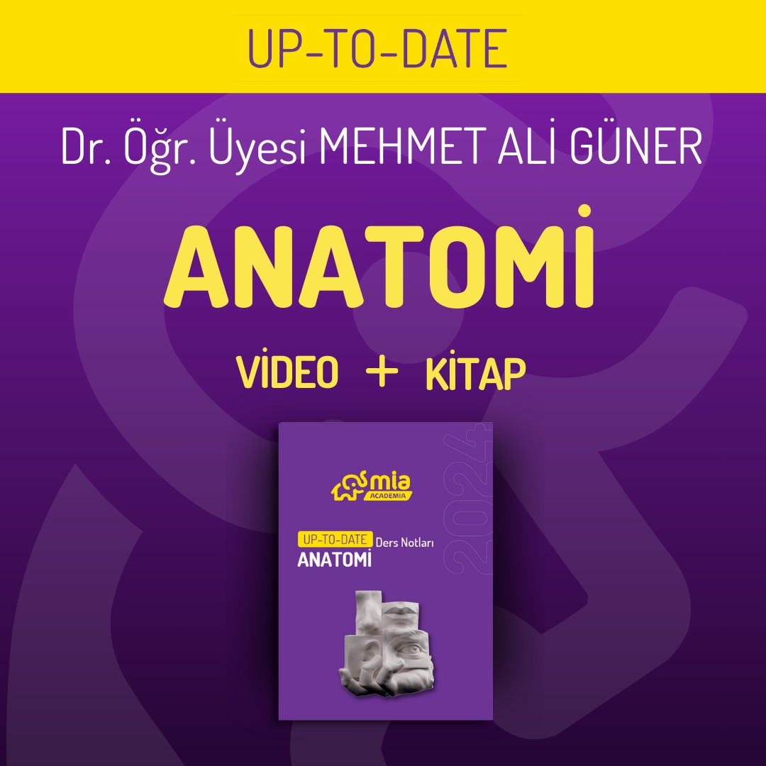 Up-To-Date Anatomi Eğitim Seti