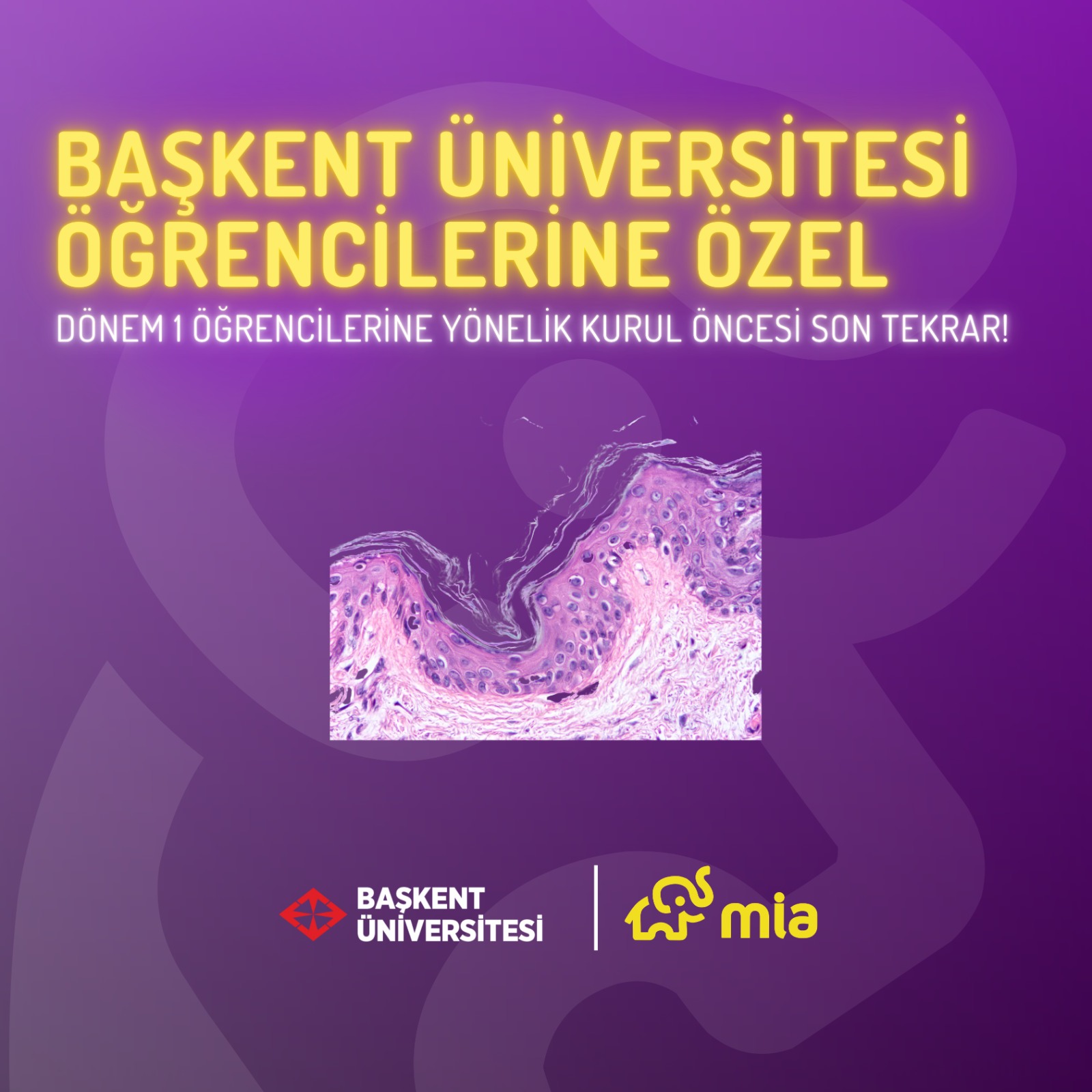 Dönem 1 Öğrencileri İçin Kurul Öncesi Son Tekrar